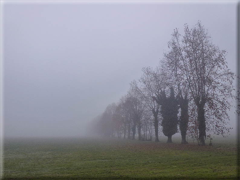 foto Pedemontana Veneta nella nebbia